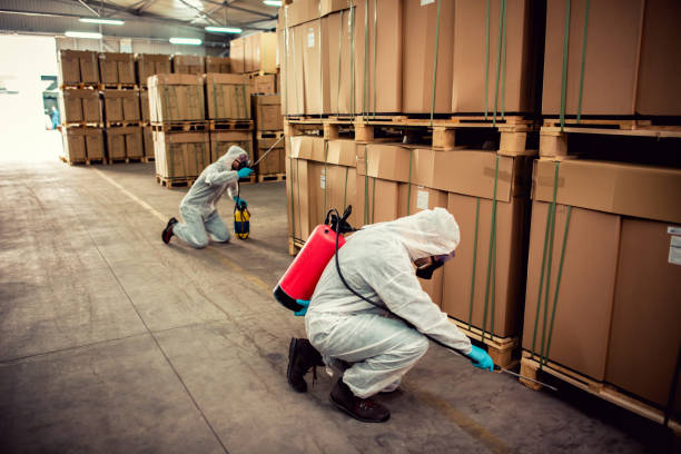 Best Cockroach Control Services  in Pompton Plains, NJ