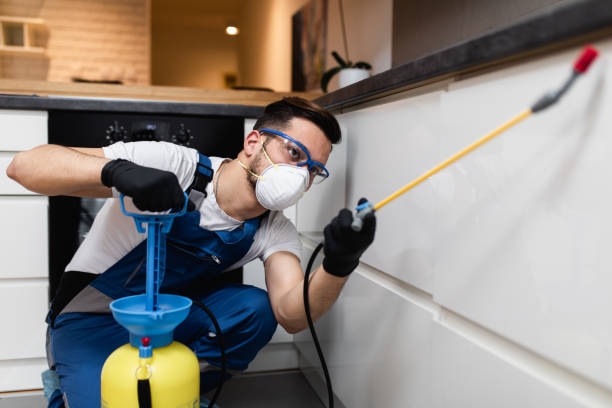 Best Best Pest Control Companies  in Pompton Plains, NJ