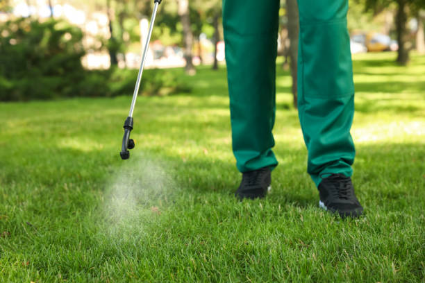 Best Rat Extermination Near Me  in Pompton Plains, NJ