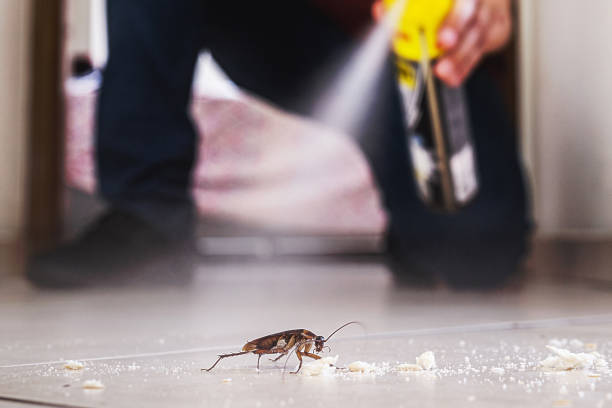 Best Pest Removal Services  in Pompton Plains, NJ