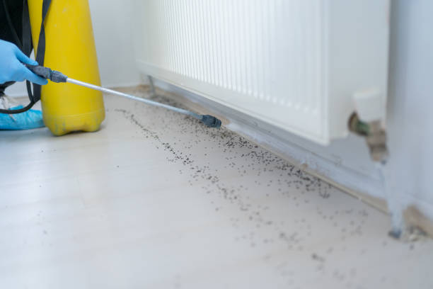 Best Flea Control Services  in Pompton Plains, NJ